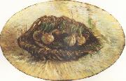 Basket of Sprouting Bulbs (nn04), Vincent Van Gogh
